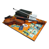 Viola, Books and Memories Cake