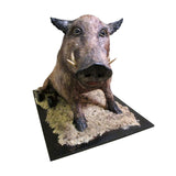 True-to-Life Bloodless Boar Cake